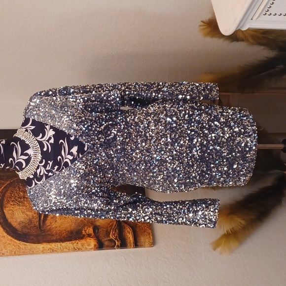 Silver Sequin Dress - Picture 2 of 4